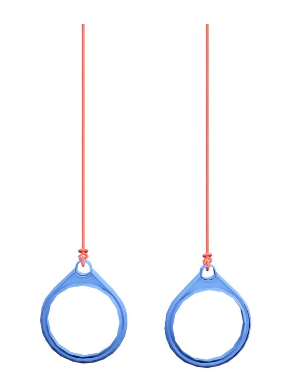 Gym Rings